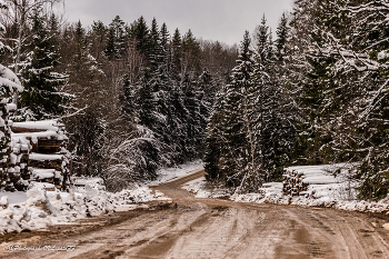 Ну и дороги... / Место съемки: Калужская область, Мещовский район
Фотограф: https://vk.com/vvlopatoff