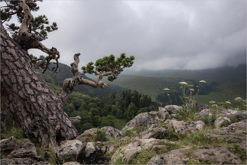 Выше облаков / Кавказ