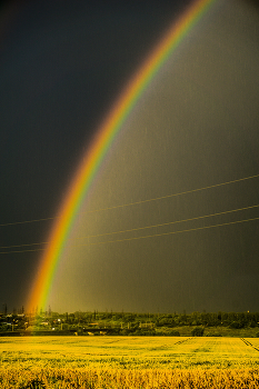 Дождь почти закончился / - - -