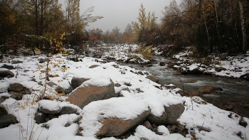 Брошенная осенью / ***