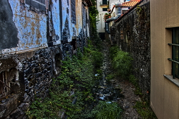 Задворки / ***