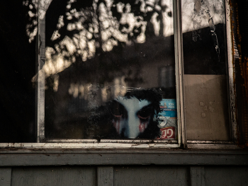 Взгляд из окна / ......