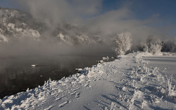 Зимний лебедь / р.Енисей, Красноярский край