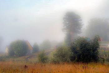 &nbsp; / Летние туманы