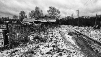 Жизнь вокруг / ***