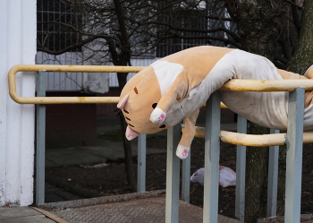 Ненужный котик / ***