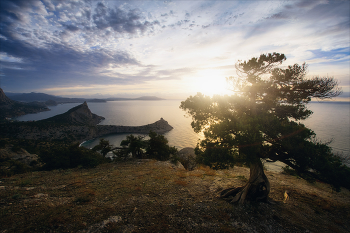 &nbsp; / Крым. Новый Свет