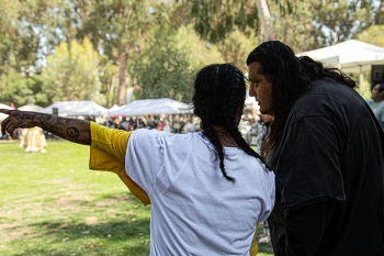 Индейский вброс / ......