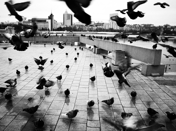 шухер / город