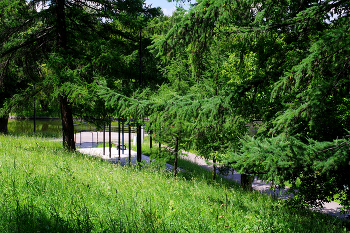 Люблинский парк / Люблинский парк в Москве. Июнь 2024.