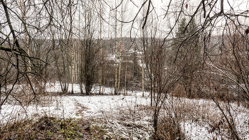 Жизнь вокруг / ***