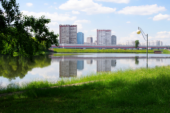 Люблинский пруд / Люблинский пруд в Москве. Июнь 2024.