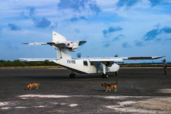 Last Call / ... или срочно займите свои места согласно посадочным талонам