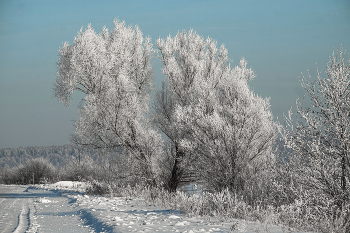 По дороге. / ***