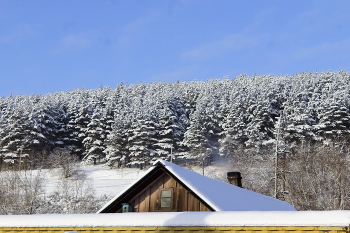 Сосновый бор / На окраине города в частном секторе печи отапливают углем, 
чем и богат Кузбасс