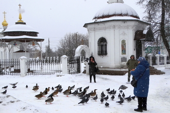 Птиц покормили в холода / Птиц покормили в холода