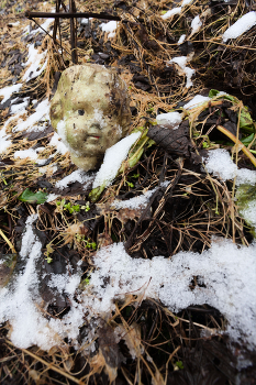 Жизнь вокруг / ***