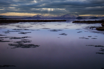 Таежный пейзаж / ***