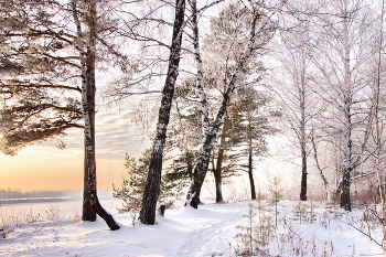 **Морозно.* / **Томская область.*