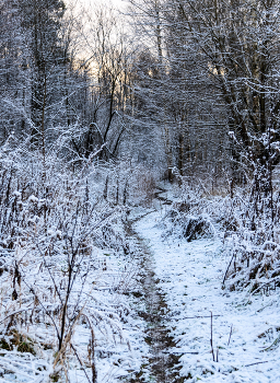 Первый снег / ***