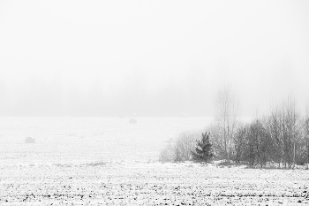 В высоком ключе / Туманные зарисовки