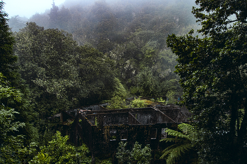 &nbsp; / Где-то в горах после дождя