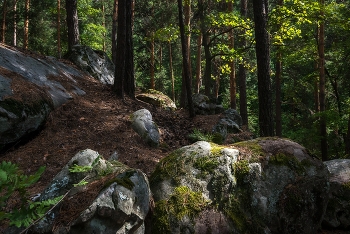 Валуны... / ***