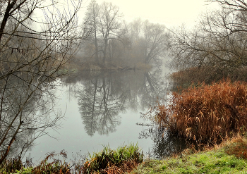 Туманный день на реке / Туманный день на реке