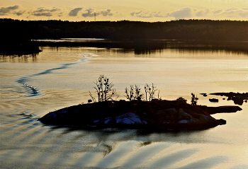 Утро в шведских шхерах / Балтика, Ботнический залив.