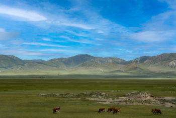 Алтайские просторы / ***