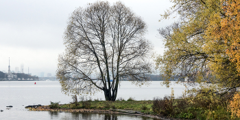 &nbsp; / Москва. Северный речной порт.
