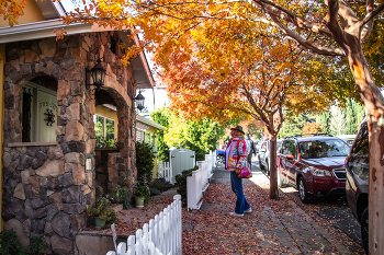 А у нас - поздняя осень! / .....