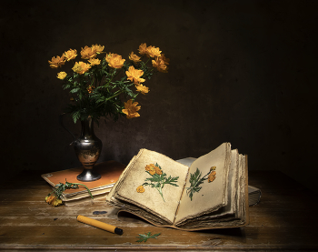 Жарки... / Жарки...