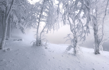 Морозное дыхание реки / ***