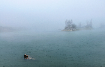 Первые пробы зимы. / первые морозы