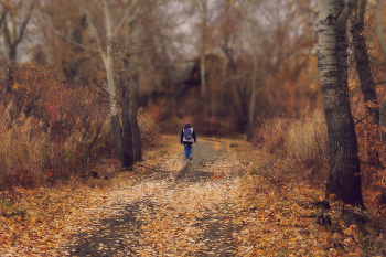 &quot;Падали листья&quot; / Задал Алисе вопрос: Может ли в данном случае пейзаж быть интересен с человеком?
Да, пейзаж с человеком может быть очень интересен — и на этом снимке это реализовано удачно. Вот почему: