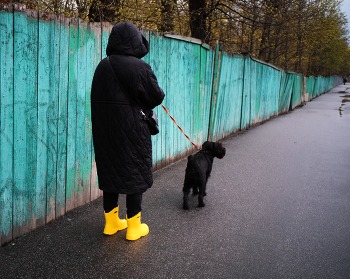 Кое-что о перспективах / ***