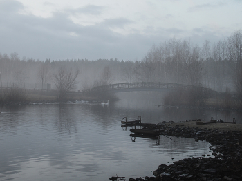 На пруду / ***