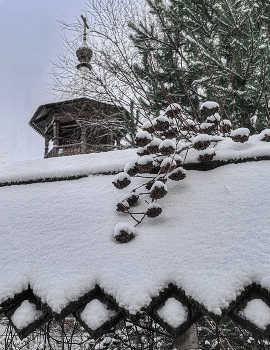 Пробный этюд зимы - первый снег / !0 декабря 2025 года. Первые снежные этюды художницы зимы. На следующий день снег растаял. Ждем следующих красот зимы.