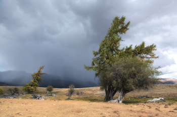 Перед грозой / Перед грозой