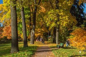 В осеннем саду............. / Санкт-Петербург. Ботанический сад. Октябрь