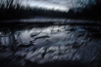 Жизнь вокруг / ***