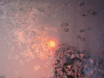 Морозная нежность. Восход. / На пластиковых окнах нет ухоров. Мороз рисует только на стекле...