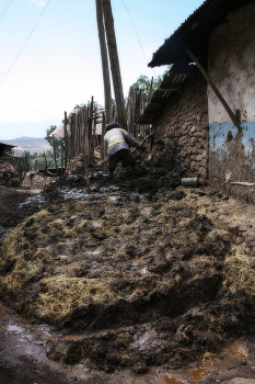 ЖиРек с высокохудожественным вкусом творит нетленку / иЙскусство из г0вна и палок