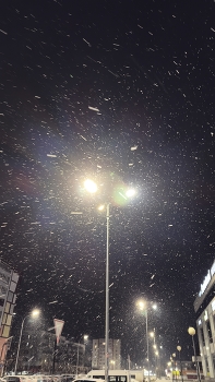 Светлая ночь / Вечер в городе