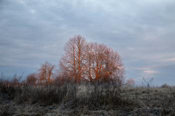 Декабрьское морозное утро / ***