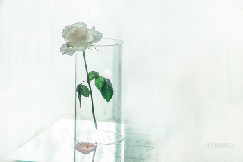 настроение / ***