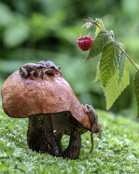 На троих) / На троих)