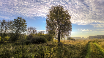 &nbsp; / 12 сентября