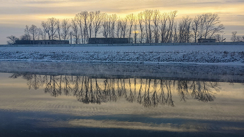 Тополя / река Читинка